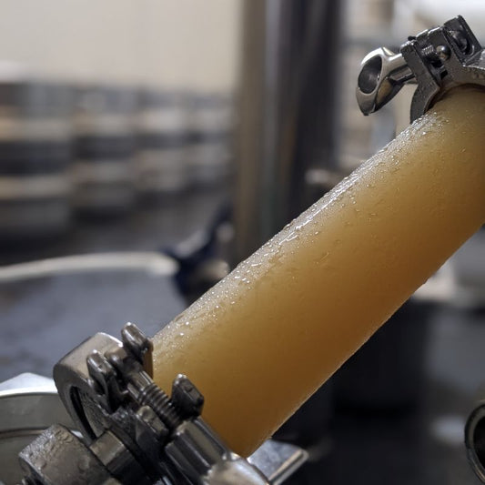 What are high density hops?